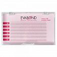 Ресницы EVABOND 2D черные